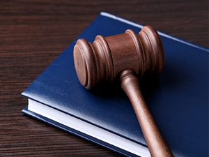 Federal Crimes Image